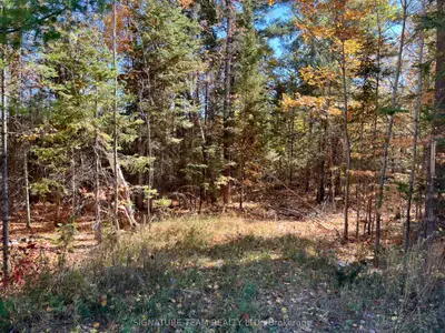 0 Foymount Road, Bonnechere Valley, On K0j 1t0
