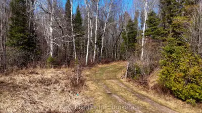 Pcl 13895 Sec Nip; Lt 5 17 E Highway, Papineau-cameron, On P0h 1v0