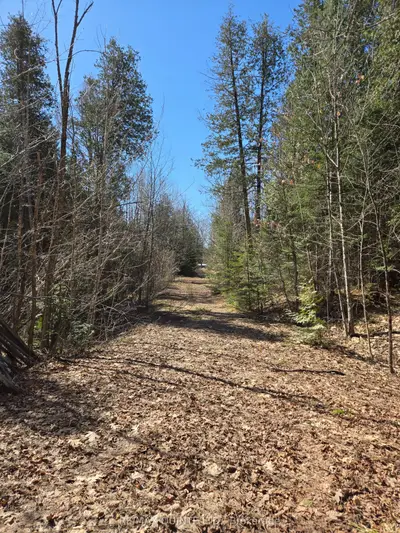 40 Marquardt Road, Addington Highlands, On K0h 1k0