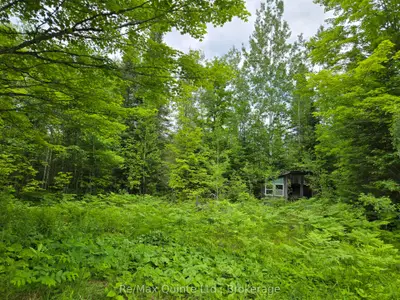 40 Marquardt Road, Addington Highlands, On K0h 1k0