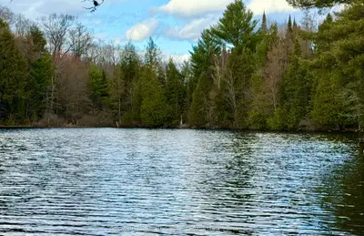 00 W Highway 522 Highway W, Parry Sound Remote Area, On P0h 1s0