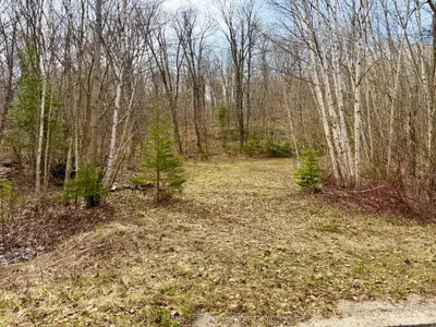 0-a S Maple Drive S, Parry Sound Remote Area, On P0h 1s0