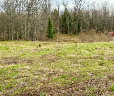 0 N Hilltop Road N, Parry Sound Remote Area, On P0h 1a0