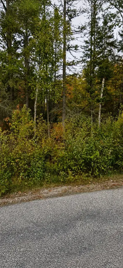 Sweezey Street, Powassan, On, P0h 2l0