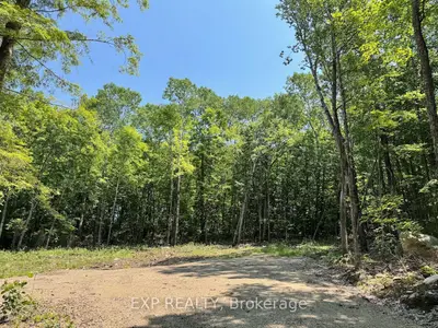 Lot 2 Lakewoods Drive, Madawaska Valley, On K0j 1b0