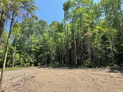 Lot 8 Lakewoods Drive, Madawaska Valley, On K0j 1b0
