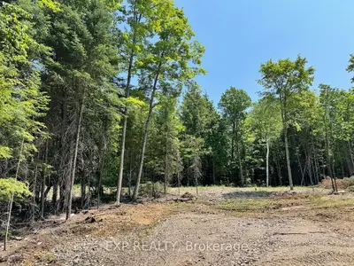Lot 14 Lakewoods Drive, Madawaska Valley, On K0j 1b0