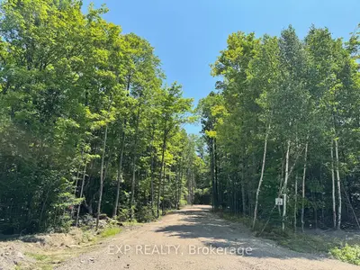 Lot 21 Lakewoods Drive, Madawaska Valley, On K0j 1b0
