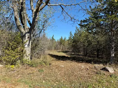 Lot 3 Galbraith Grove Road, Stone Mills, On K0k 3n0