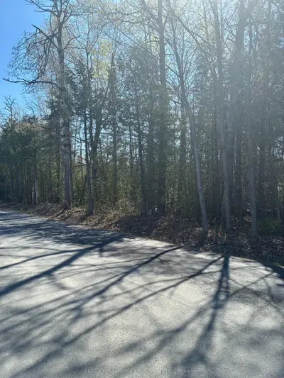 Pt Lt 6 Con 3 Sills Road, Centre Hastings, On K0k 3e0