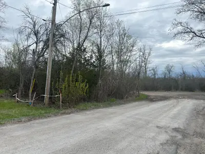 147 Peterson Street, Quinte West, On K8v 5p8