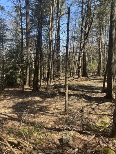 0 Kirkpatrick Lane, Bracebridge, On P1l 1x3