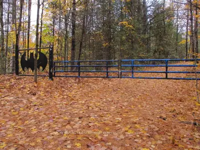 21 Pt Lt Con 10 Galway Pt 1 45r2755; Cains Lane Kinmount, Trent Lakes, On K0m 2a0