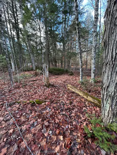 0 Mill Lake Road, North Kawartha, On K0l 1a0