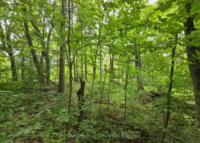 000 Cedar Sands Road, Rideau Lakes, On K0e 1n0