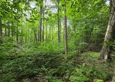000 Cedar Sands Road, Rideau Lakes, On K0e 1n0