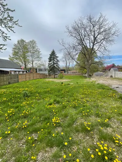 313 Buchanan Street, Strathroy-caradoc, On N7g 1k6