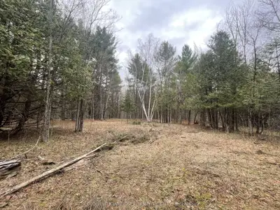 1008 Dalhousie 6a Concession, Lanark Highlands, On K0g 1k0
