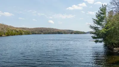 1027 Spencers Trail, Highlands East, On K0m 1x0