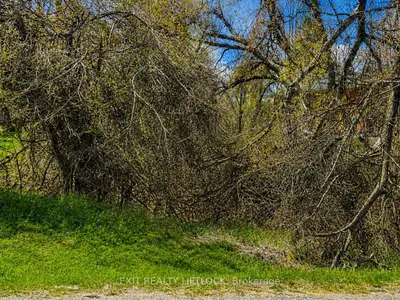 0 Maple Ridge Drive, Kawartha Lakes, On K0l 2w0