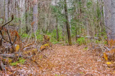 00 Lower Craigmont Road, Madawaska Valley, On K0j 1l0