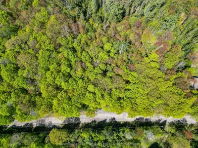 989 North Waseosa Lake Road, Huntsville, On P1h 2j4