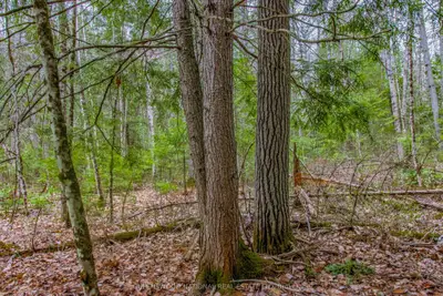 000 Lower Craigmont Road, Madawaska Valley, On K0j 1l0