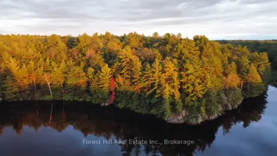 0 Clear Lake Road, Muskoka Lakes, On P0c 1m0