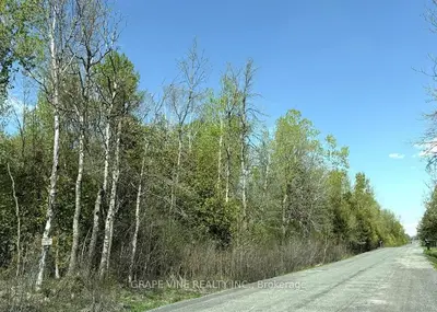 11865 (ptlt23) Armstrong Road, North Dundas, On K0c 2k0