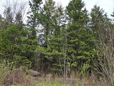 000 Concession 5 Road, North Glengarry, On K0c 1a0