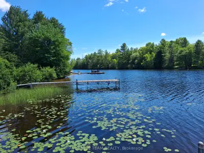 112 Golfers Lane, Hastings Highlands, On K0j 1l0