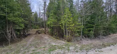 43 Hardwick Cove Road, Northern Bruce Peninsula, On N0h 1w0