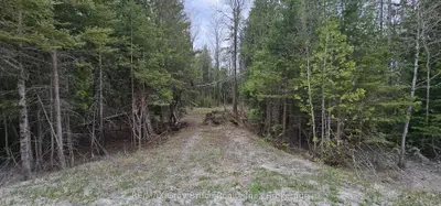 43 Hardwick Cove Road, Northern Bruce Peninsula, On N0h 1w0