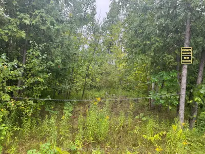 Lot 38 Sumcot Drive, Trent Lakes, On K0l 1j0