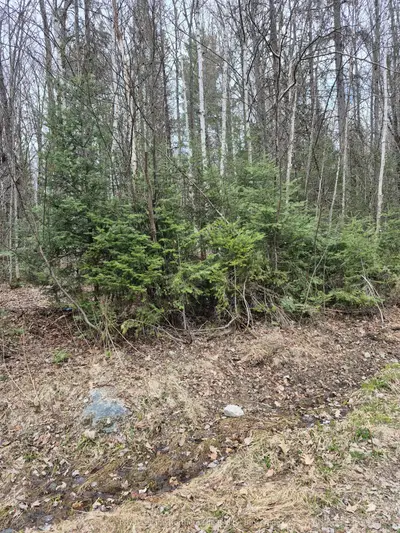 Lot 5 Arbutus Trail, Mattawan, On P0h 1v0
