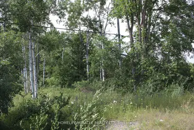 380 Highway 15 Highway, Rideau Lakes, On K7a 5b8