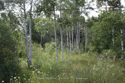 380 Highway 15 Highway, Rideau Lakes, On K7a 5b8