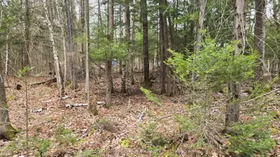 149 Pine Lake Road, Bonfield, On P0h 2e0
