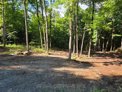 2456 Conc Dalhousie Concession, Lanark Highlands, On K0g 1k0