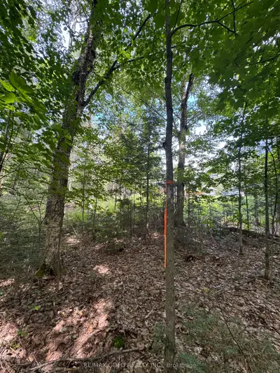 1791 Alsace Road, Nipissing, On P0h 1z0
