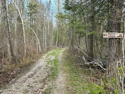 Pt Lot 20 Bessie Avenue N, Trent Lakes, On K0m 1a0
