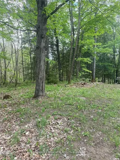 3460 Harburn Road, Dysart Et Al, On K0m 1m0