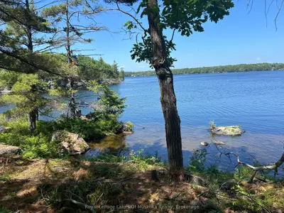 Lot 1 Bala Park Island, Muskoka Lakes, On, P0b 1j0