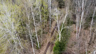 1876 ALSACE Road, Nipissing, ON P0H 1Z0