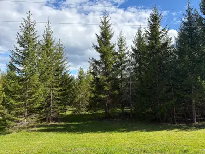 Part 2 Ingham Road, Alnwick/haldimand, On K0k 2x0