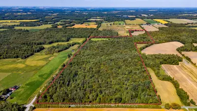 Pt Lt 134-135 Lamers Line, Bayham, On N0j 1y0
