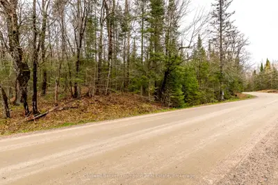 Lot 1 South Horn Lake Road, Armour, On P0a 1c0