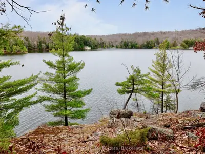 0 Little Morgan Bay Road, Seguin, On P0c 1h0