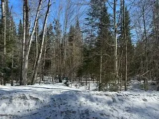 Part 7 Of Part Of Lot 18 Concession 9, Lake Of Bays, On P0b 1a0