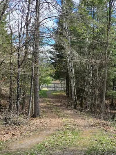 1301 Norton Road, Greater Madawaska, On K7v 3z9